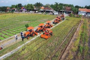 Rahasia Swasembada Pangan Terungkap! Kementan Lakukan Aksi Kilat!
