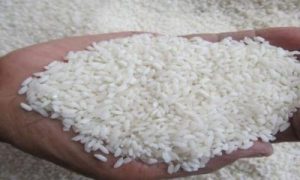 Harga Beras Meroket? Pemerintah Siapkan Jurus Ampuh Ini!