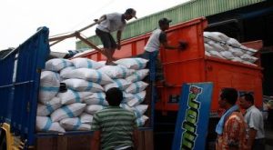 Indonesia Cetak Rekor! Produksi Beras Melonjak Drastis?