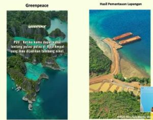 Raja Ampat Gempar! 4 Tambang Nikel Ditutup, Ada Apa?