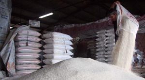 Terbongkar! Tengkulak Biang Kerok Beras Oplosan?