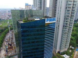 Dari Desa Mendunia! Rahasia Wanita RI Guncang Ekonomi Global