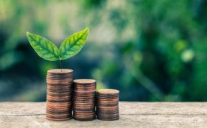 Ambisius! Indonesia Genjot Energi Hijau Demi Target 2030