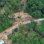 Rusia Raja Hutan Dunia! Posisi Indonesia Mengejutkan?