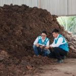 Terungkap! Jurus Ampuh PLN EPI Pangkas Emisi Karbon RI