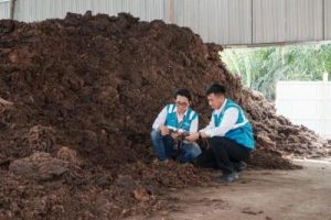 Terungkap! Jurus Ampuh PLN EPI Pangkas Emisi Karbon RI