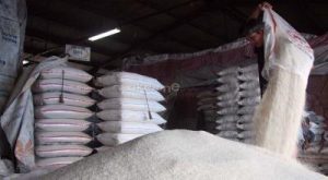 Jutaan Keluarga Siap Senyum! Bantuan Pangan Triliunan Meluncur!