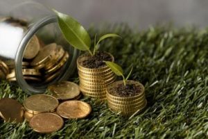 Masa Depan Industri Indonesia: IIF & Danareksa Punya Kunci!