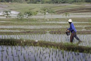 Terkuak! Lowongan Petugas Sensus Bergaji Rp8 Juta Ternyata Hoaks