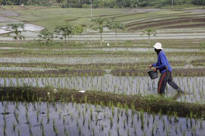 Terkuak! Lowongan Petugas Sensus Bergaji Rp8 Juta Ternyata Hoaks