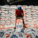 Strategi Bulog Amankan Pangan Papua: 2 Gudang Baru Cukupkah?