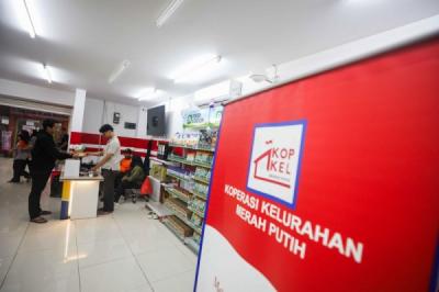 Pupuk Laris Manis Koperasi Merah Putih Untung Besar