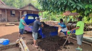 Kotoran Ternak Jadi Emas Warga Gunungkidul Untung Besar