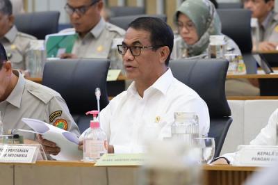 Mentan Ungkap Untung Beras Fiktif Triliunan