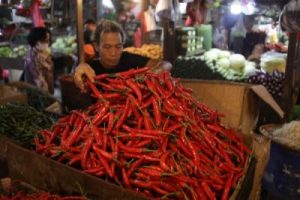 Harga Pangan Anjlok Deflasi Juli Mengejutkan