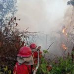 Api Hutan Mengganas Siapa Bertanggung Jawab