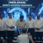 Prabowo Gebrak Target Energi Surya 100 GW