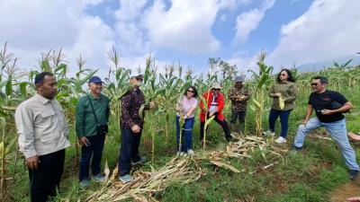 Tanah Cianjur Berubah Nasib Petani Tersenyum Lebar