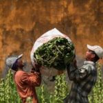 Ancaman Rp200 Triliun Negara Terkuak