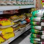 Stok Beras Premium Aman di Pasar Tradisional