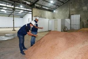 PLN EPI Bidik Jutaan Ton Biomassa Guncang Energi