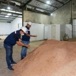 Indonesia Siap Guncang Dunia Bioenergi