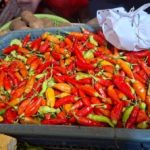 Harga Cabai Rawit Bikin Dompet Menjerit Ini Solusi Jitu