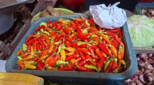 Harga Cabai Rawit Bikin Dompet Menjerit Ini Solusi Jitu