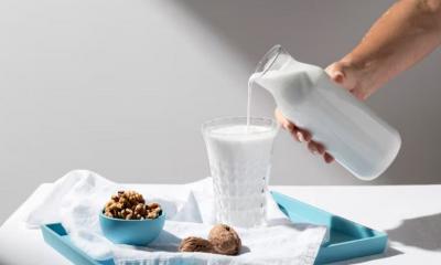 Mulai 2027 Produksi Susu RI Bakal Melejit