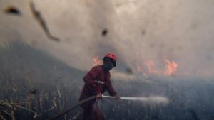 Rahasia Jambi Tekan Titik Api Hutan
