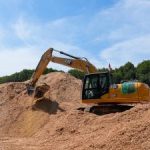 Potensi Biomassa Melimpah Dukung Energi Hijau