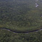 Lawan Api di Tanjung Puting