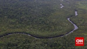 Lawan Api di Tanjung Puting
