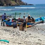 Emas Tersembunyi di Limbah Ikan Pesisir
