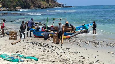 Emas Tersembunyi di Limbah Ikan Pesisir