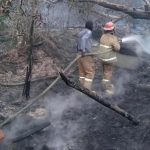 Api Melalap Kebun Karet di Prabumulih