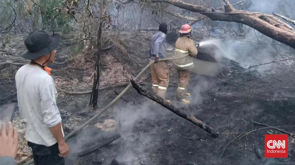 Api Melalap Kebun Karet di Prabumulih
