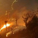 Ratusan Tersangka Terlibat Karhutla