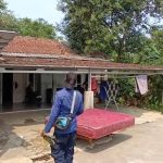 Misteri Serangan Monyet Liar di Bekasi