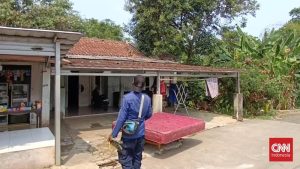 Misteri Serangan Monyet Liar di Bekasi