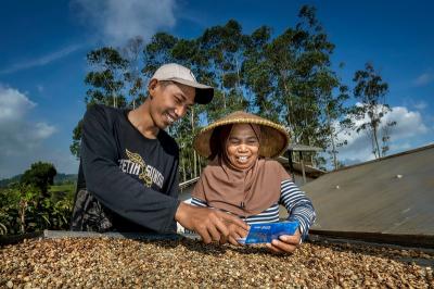 BRI Kucurkan Rp144 Triliun untuk UMKM