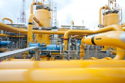 Limbah Sawit Jadi Energi Baru PGN